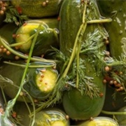 Fermented Dill Pickles