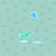 Lucent Fish A