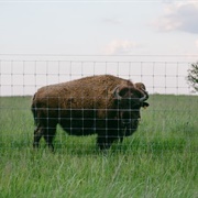 Battelle Darby Creek Metro Park