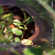 Jonny From Space - Back Then I Didn't but Now I Do