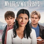 My Life With the Walter Boys