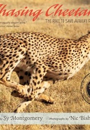 Chasing Cheetahs: The Race to Save Africa's Fastest Cats (Sy Montgomery)
