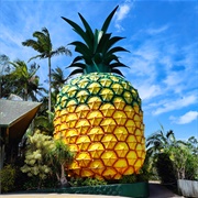 Big Pineapple, Nambour, Queensland, Australia