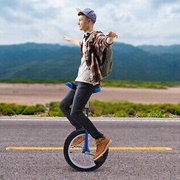 Unicycle