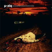 Μ-Ziq - Duntisbourne Abbots Soulmate Devastation Technique