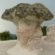 Stone Mushrooms of Beli Plast