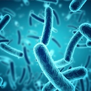 Bacteriophobia - The Fear of Bacteria