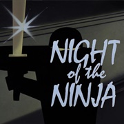 S1.E28: Night of the Ninja