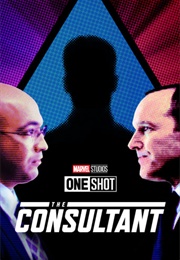 The Consultant (2011)