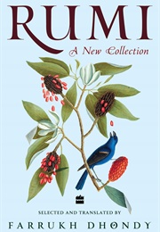 Rumi (Dhondy, Farrukh)