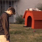 Arrested Development: "Good Grief" (S2,E4)