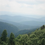 Monogahela National Forest