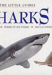 Sharks (Leighton Taylor)