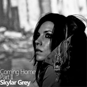 Coming Home - Part II - Skylar Grey