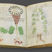The Voynich Manuscript, USA