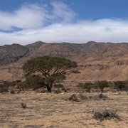 Bouhedma National Park, Tunisia