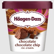 Chocolate Chocolate Chip