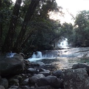 Wooroonooran National Park