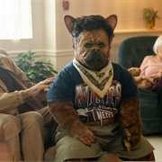 What We Do in the Shadows: "Hybrid Creatures" (S5,E7)