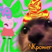 Nkpower