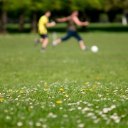 Play Football at a Local Park