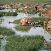 Mesopotamian Marshes, Iraq