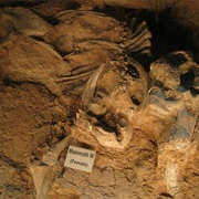 Waco Mammoth Site