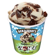 Nondairy Mint Chocolate Chance