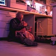 Sam the Dog (I Am Legend)