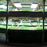 Aqua Vita Farms (Permanently Closed)