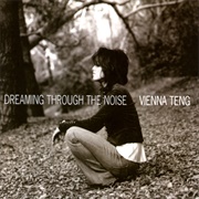 Vienna Teng - Dreaming Through the Noise