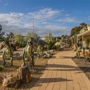 Dinosaur Garden