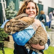 The Bunny Hutch (Permanently Closed)