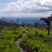 Ellenville Fault Ice Caves