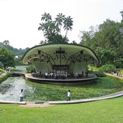 Singapore Botanical Gardens, Singapore