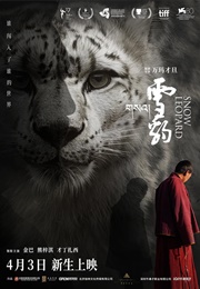 Snow Leopard (2023)