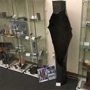 Museum of Material Failures