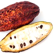 Cacao Pod
