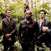 Stars at Noon - Tindersticks