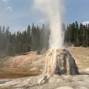 Lone Star Geyser