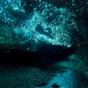 Waitomo Caves, New Zealand