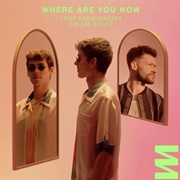 Where Are You Now - Lost Frequencies & Calum Scott