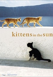 Kittens in the Sun (Hans W. Silvester)