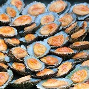 Grilled Limpets