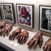 Adrian E. Flatt, M.D., Hand Collection