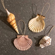 Shell Ornaments