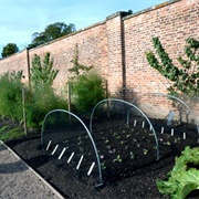 Gratitude Garden at Artisun Gallery