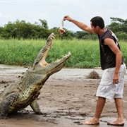 Hand-Feed a Wild Animal
