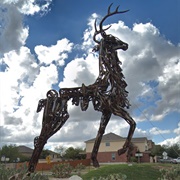 The Giant Stag of Converse