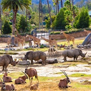 San Diego Zoo, USA
